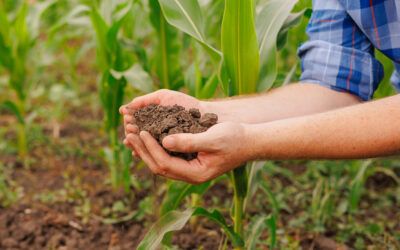 Regenerative Agriculture Market Poised to Reach