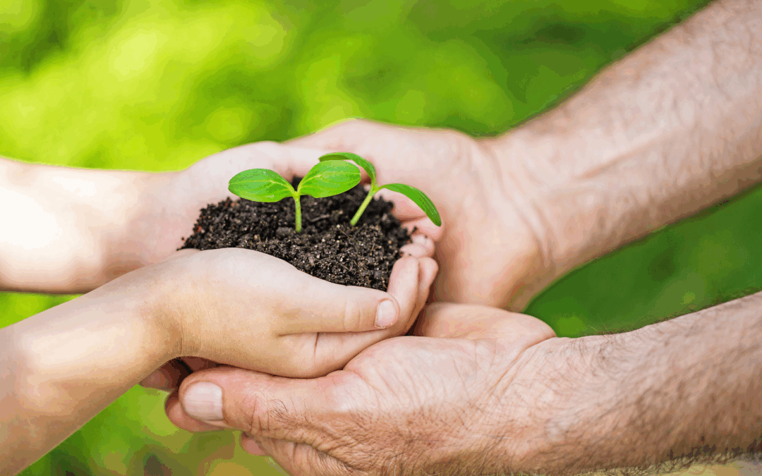 A importância dos solos supressivos e das boas práticas para a sustentabilidade das futuras gerações
