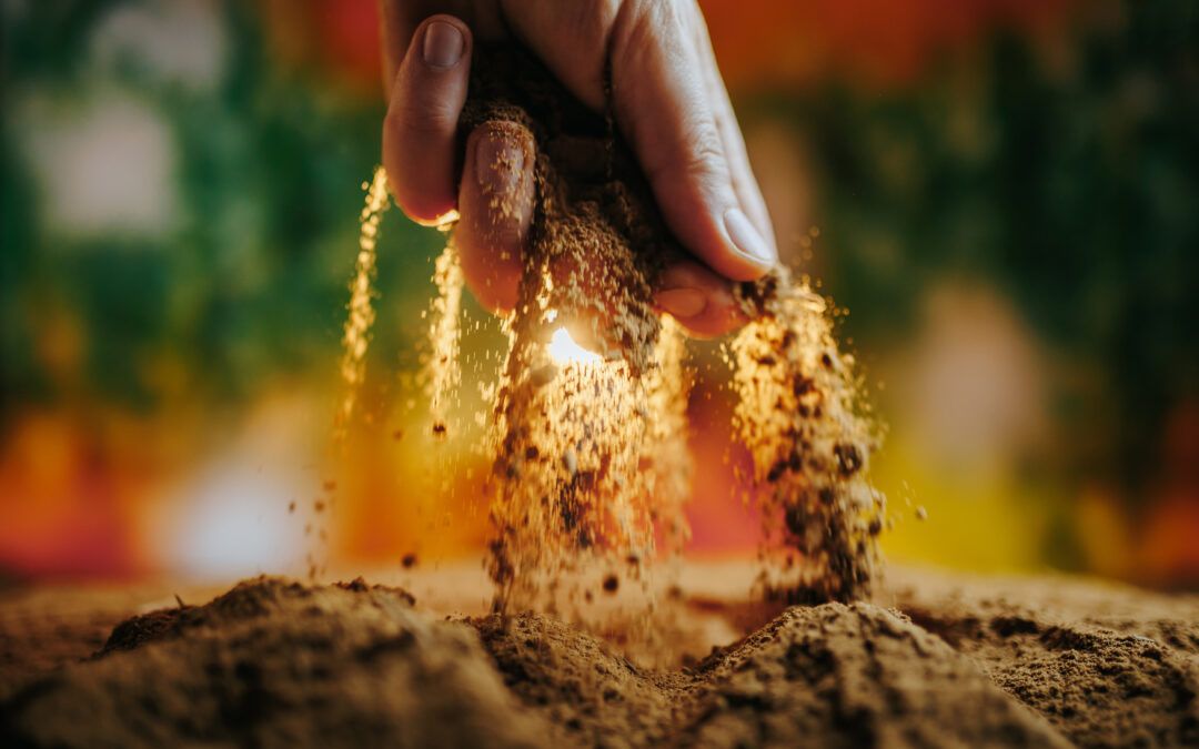 Agricultura y microbioma: una alianza vital.