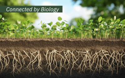 Life in the soil: The role of the soil microbiome in agricultural systems