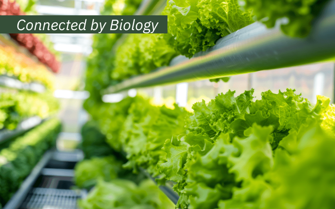 Conocimiento e innovación: Trabajar con la biología, no contra ella