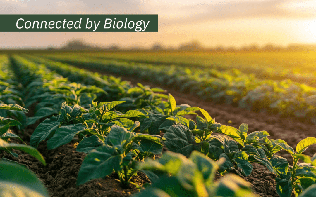 La resiliencia empieza en el suelo: Biodiversidad en un clima cambiante