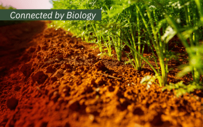 Conserving soil is conserving life — science, responsibility and the future of agriculture