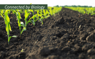 The Invisible Half of Farming